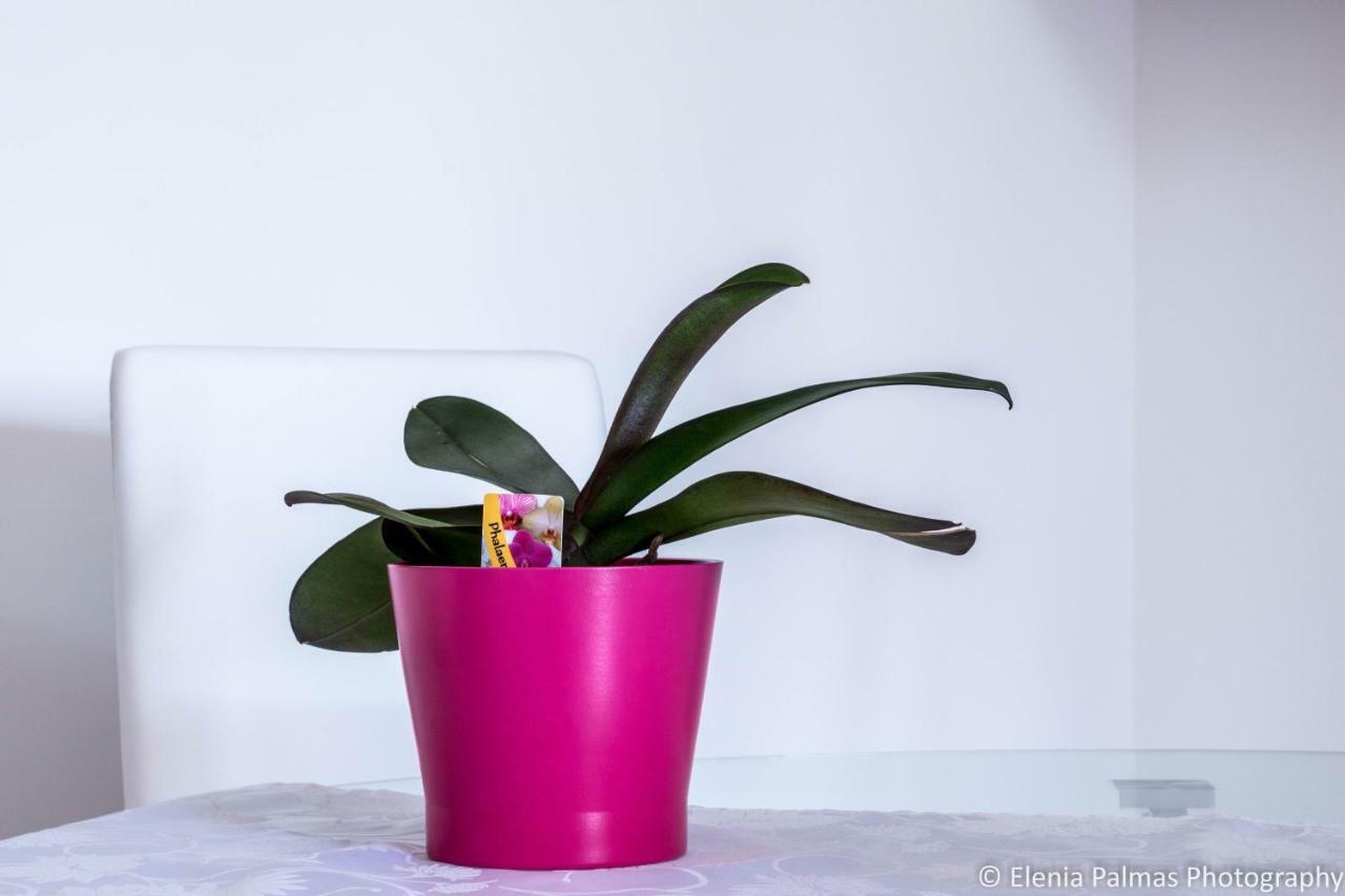 קליארי Giusy Monreale Apartment מראה חיצוני תמונה